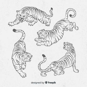 Collection of hand drawn tigers