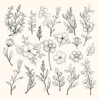 Hand drawn flower collection Free Vector